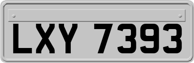 LXY7393