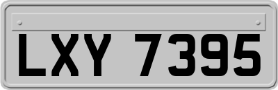 LXY7395