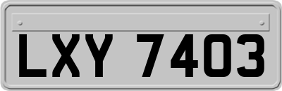 LXY7403