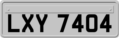 LXY7404