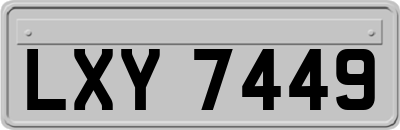 LXY7449