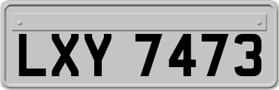 LXY7473
