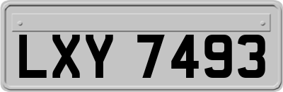 LXY7493