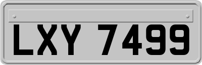 LXY7499