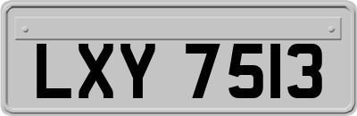 LXY7513