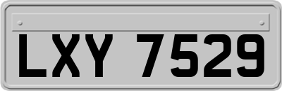 LXY7529