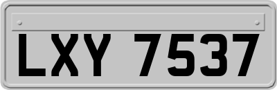 LXY7537
