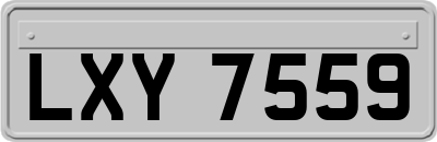 LXY7559
