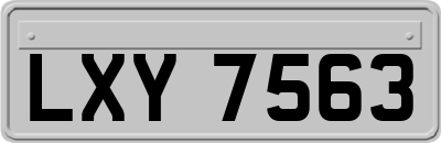 LXY7563