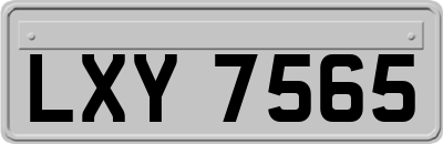 LXY7565