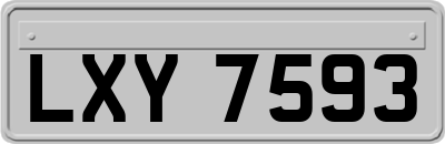LXY7593