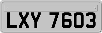 LXY7603