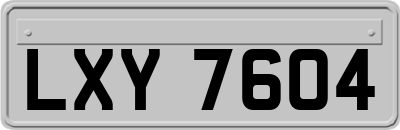 LXY7604