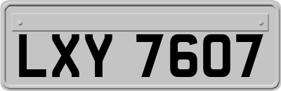LXY7607