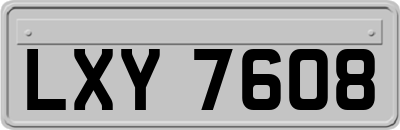 LXY7608