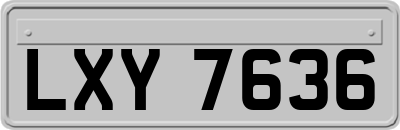 LXY7636