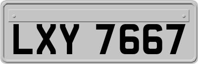 LXY7667