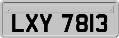 LXY7813