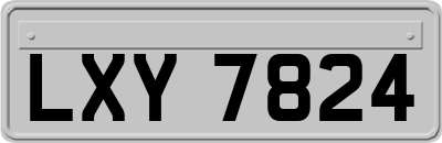 LXY7824
