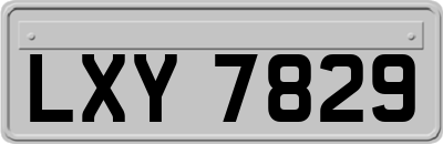 LXY7829