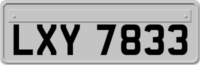 LXY7833