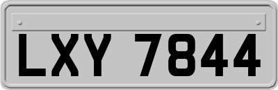 LXY7844