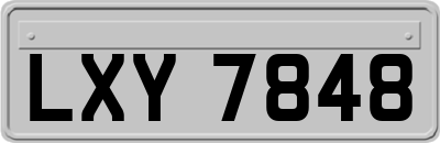 LXY7848