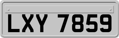 LXY7859