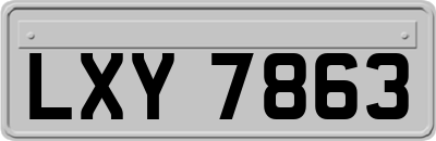 LXY7863