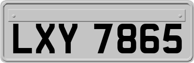 LXY7865