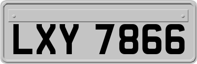 LXY7866