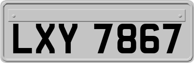 LXY7867