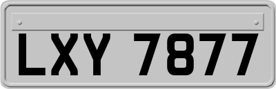 LXY7877