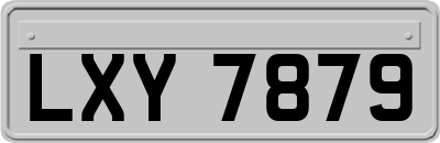 LXY7879
