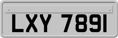 LXY7891