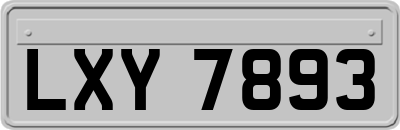 LXY7893