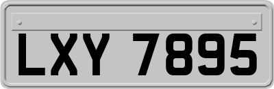 LXY7895