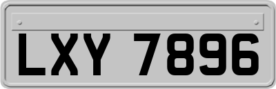 LXY7896