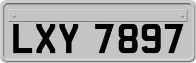 LXY7897