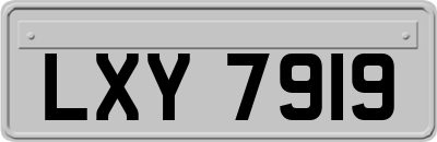 LXY7919