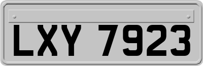 LXY7923