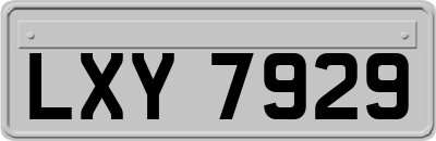 LXY7929