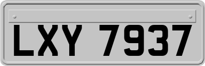 LXY7937