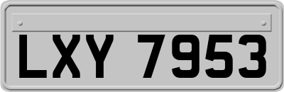 LXY7953