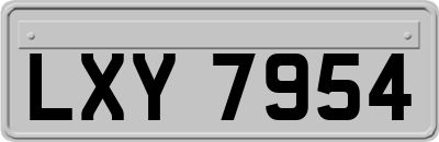 LXY7954