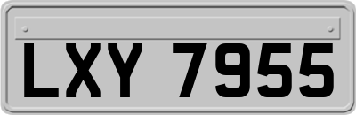 LXY7955