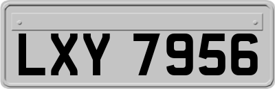 LXY7956