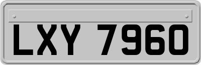 LXY7960