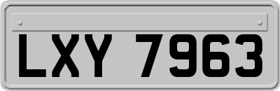 LXY7963
