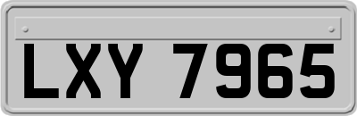 LXY7965